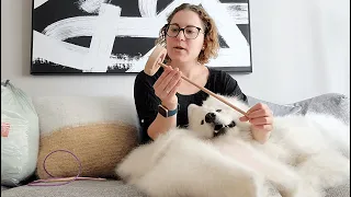 How to Spin Dog Fur Into Yarn: Theo the Samoyed Floof