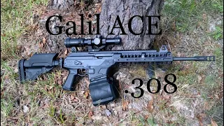 Galil ACE .308