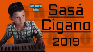 Sasá Cigano 2019 /- Loira de Goiás - novo lançamento