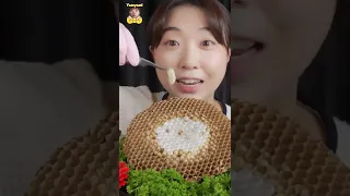 말벌애벌레 ASMR🐛