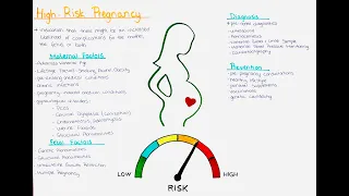 High Risk Pregnancy - maternal + fetal causes, diagnosis, management, prevention