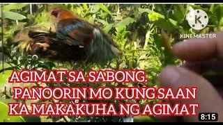 PANOORIN NINYO.KUNG SAAN KAYO MAKAKUHA NG AGIMAT SA SABONG