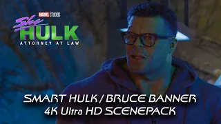 All Smart Hulk / Bruce Banner 4K ULTRA HD Scenes SCENEPACK | She-Hulk (Episode 1)