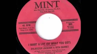 Sylvester Jackson & Rita Garret ‎– I Want A Lot (Of What You Got) [Greymatter Extended Edit]