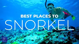 Best Places to Snorkel | You MUST EXPLORE These Best Snorkeling Spots in the World