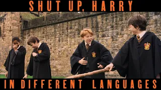 SHUT UP, HARRY! (in Different Languages) Harry Potter and the Philosopher's Stone