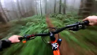 Amazing GoPro Foggy Forest MTB