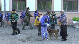 Клуб Юных Кинологов МБУ ДО ДДТ им В П  Чкалова  30 05 2022 Показательное выступление шк  №133