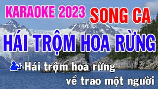 Hái Trộm Hoa Rừng Karaoke Song Ca Nhạc Sống - Phối Mới Dễ Hát - Nhật Nguyễn