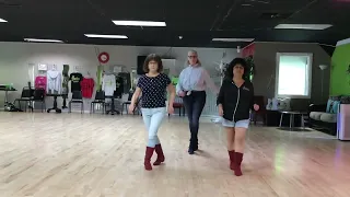 These Boots Were Made For Walking line dance by Donna Collins, demo video