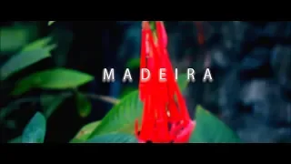 A Trip To Madeira