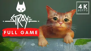 STRAY Gameplay Walkthrough FULL GAME (All Collectibles) [PC 4K 60FPS] - No Commentary