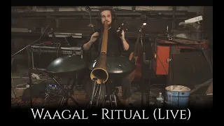 Waagal - Ritual (Live 4k) || Didgeridoo Handpan Asalato One Man Band Kashaka Cascas