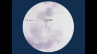 Tsukihime 月姫 VN Opening HD (English)