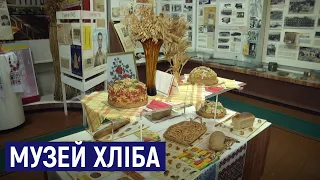 Музей хліба на Житомирщині: найдавнішому експонату – три тисячі років