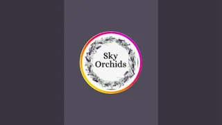 У каналі Sky Orchids відбувається прямий ефір.