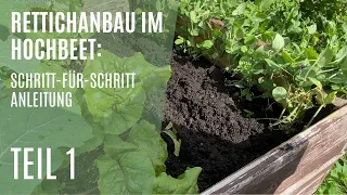 Rettich Aussaat und Anbau im Hochbeet / Rettich  erfolgreich anbauen? / Beet vorbereiten Teil 1/2