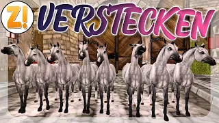 WILDPFERDE in JARLAHEIM! VERSTECKEN 🐴 WER WIRD GEFUNDEN? | StarStable [SSO]