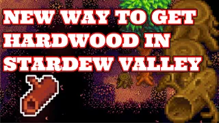 How to get HARDWOOD in Stardew Valley 1.5 | Mahogany tree