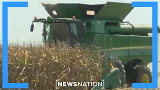 Why is US farmland a battleground in the fight against China? | Morning in America