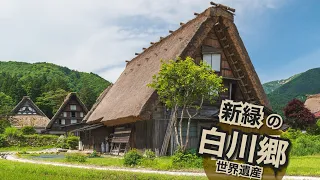 新緑の白川郷｜Shirakawago｜世界遺産 World Heritage｜日本三大秘境｜Travel to the most Beautiful Village in Japan.