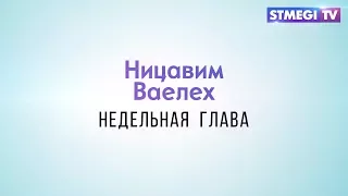 Недельная глава "Ницавим, Ваелех"