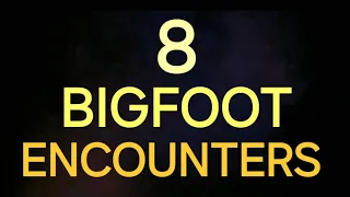 8 BIGFOOT ENCOUNTERS