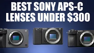 Best Ultra Budget Autofocus Sony APS-C Lenses That Will Give You That WOW factor