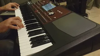 The Love of Tired Swans cover korg pa700