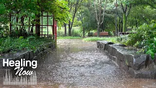 Rain sound makes you Forget Worries and fall Asleep. Calm White Noise ASMR in a Peaceful Park