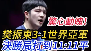 驚心動魄！樊振東3-1世界亞軍 決勝局打到11平 #pingpong  #桌球   #wtt