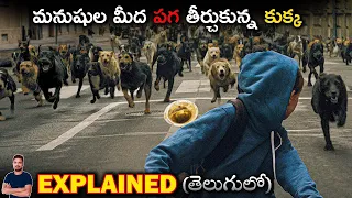 మనుషుల మీద పగ తీర్చుకున్న కుక్క🐕 | White God (2014) Film Explained in Telugu