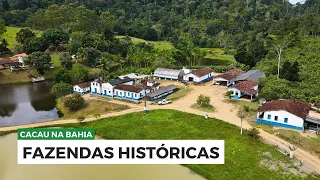 FAZENDAS HISTÓRICAS: Itagi e sua produção de cacau, na Bahia