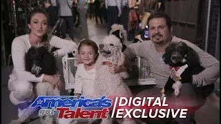 Elimination Interview: Pompeyo Family Dogs Send Love To Fans - America's Got Talent 2017