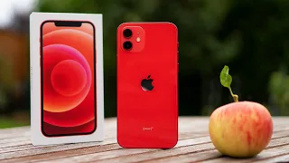 Apple iPhone 12 (Product Red) - Ein ausführlicher Blick | Kamera, Test (deutsch)