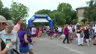 Pooch Parade takes over Alamo Heights