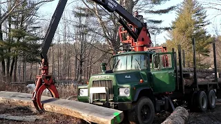 Milling White Oak Timber in New England (EP63)