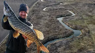 ДИКИЙ РУЧЕЙ В ПОЛЕ, А ТАМ КРОКОДИЛЫ! Рыбалка на щуку на малой реке. Ловля щуки на спиннинг джиг-риг