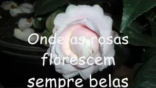 Elvis Presley Legendado(Gospel) If we never meet again