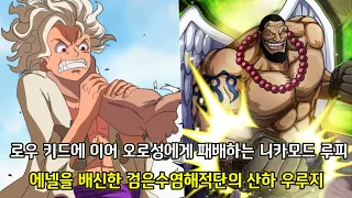 [원피스 2가지 떡밥 분석] 로우 키드에 이어 오로성에게 패배하는 니카모드 루피 그리고 에넬을 배신한 검은수염해적단의 산하 우루지