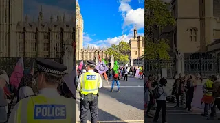 Extinction Rebellion protest outside Palace of Westminster #shorts #London #protest #JustStopOil