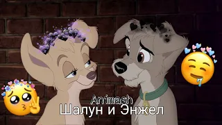 •|| Animash || Бродяга || Шалун и Энжел ||•