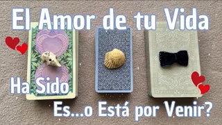 El Amor de tu Vida 🌈❤️ Ya Fue, Es…o Está por Venir 🍒💖⁉️