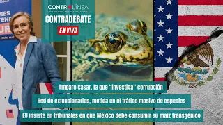 Contradebate | Amparo Casar, la que “investiga” corrupción