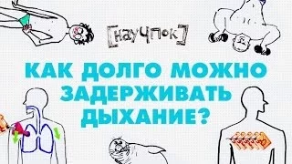 Научпок - Как долго можно задерживать дыхание?