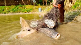 Most Popular Fishing Video - Big Cast Net Fishing With Beautiful Natural - Fishing & Fish Trap