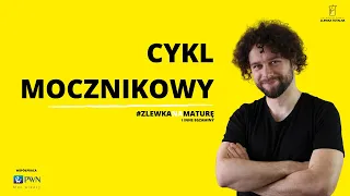 #12 CYKL MOCZNIKOWY  - CYKL ORNITYNOWY [Matura z biologii 2023 + studia] 👩‍⚕🧑‍⚕