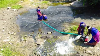 Pond Water Fish Catching | pumping water outside the natural lake, catching many big fish