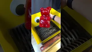 BIGGEST GUMMIES BEAR VS SHREDDING MACHINE #SHORTS #VIRAL #CARTOON #KIDS