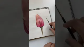Tulip Flower | mruglaart